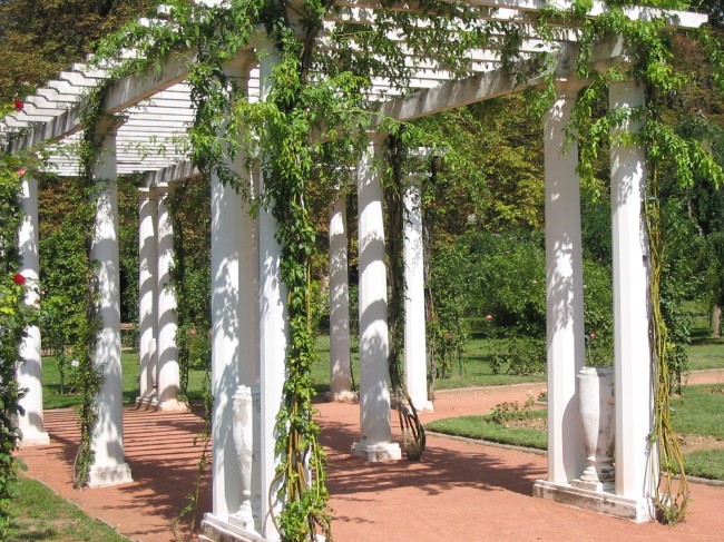 Exemple de pergola autoportée décorée de plantes.