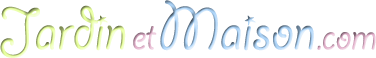 Magnificent Logo