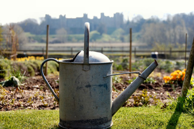 Un arrosoir pour le potager est essentiel