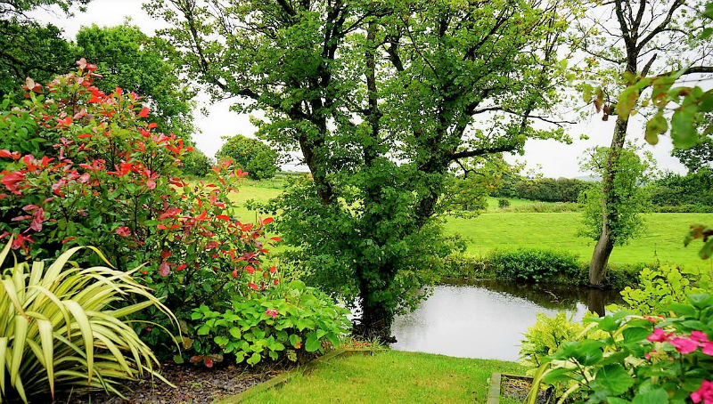 Comment entretenir son jardin de manière pratique ?