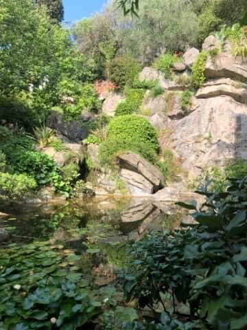 jardin japonais