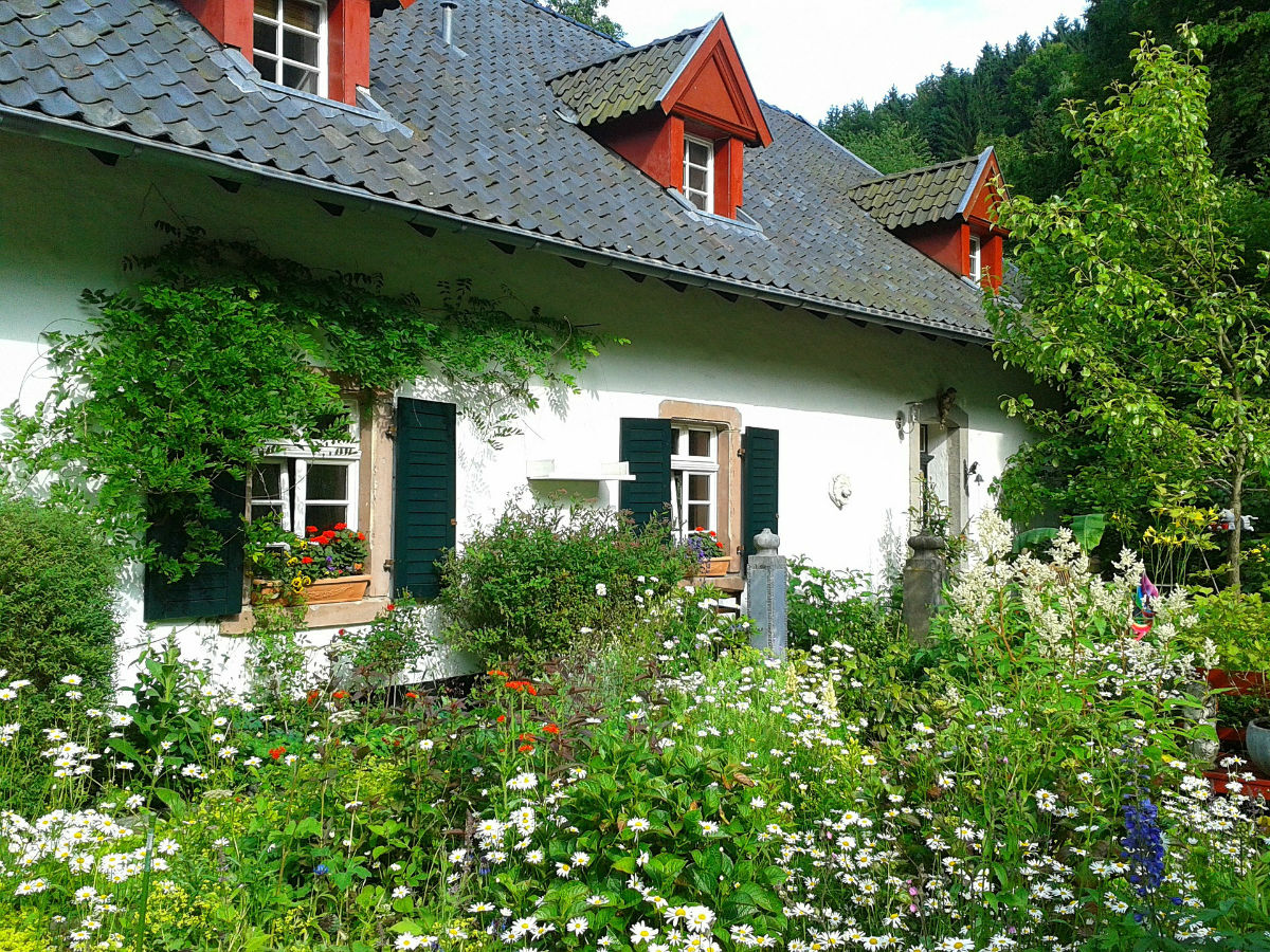 Aménagement jardin : quels arbres pour avoir un coin d’ombre ?