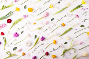 fleurs-saison