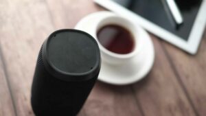 enceinte Sonos