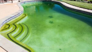 Piscine verte