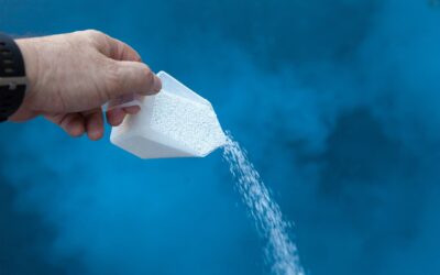 Les meilleurs produits anti-algues pour votre piscine