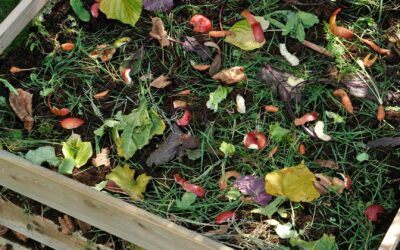 Comment fabriquer votre propre composteur maison