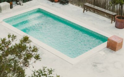 Les tendances pour les piscines écologiques