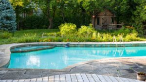 Piscine naturel