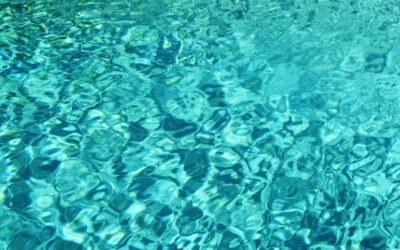 Les avantages et inconvénients des piscines naturelles
