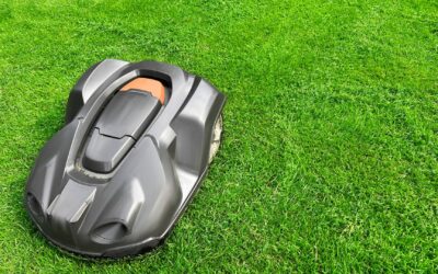 Mon avis sur les tondeuses robotisées : Pratique ou pas