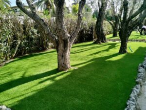 jardin pelouse