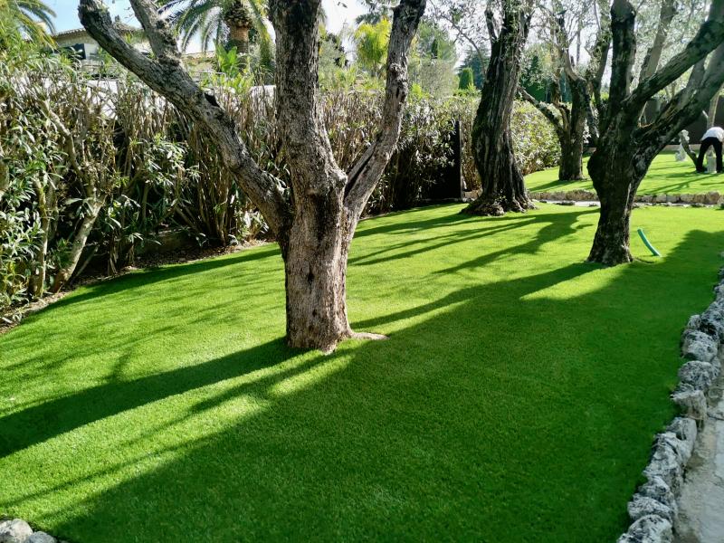 jardin pelouse